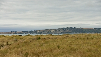 DSC00229