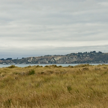 DSC00229