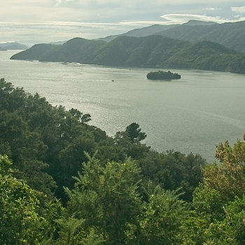 DSC00459