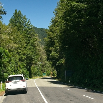 DSC00503