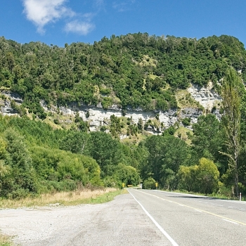DSC00505