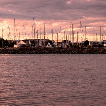 DSC07511