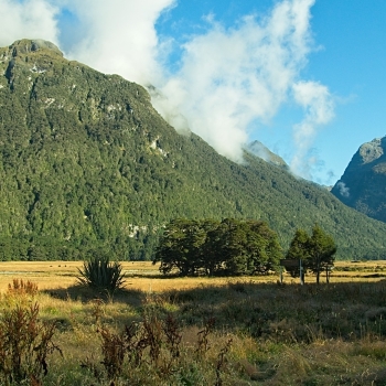 DSC07694
