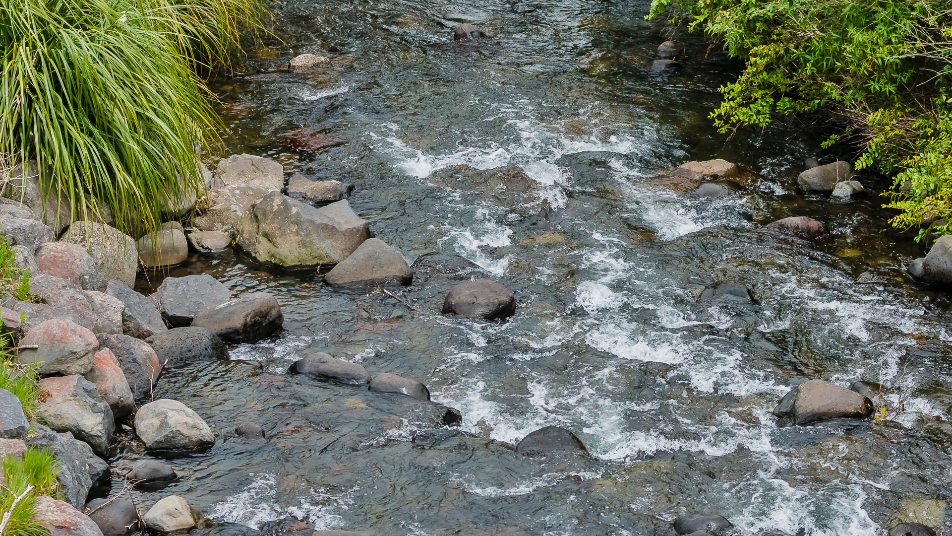 DSC04091