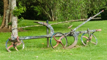 DSC03600