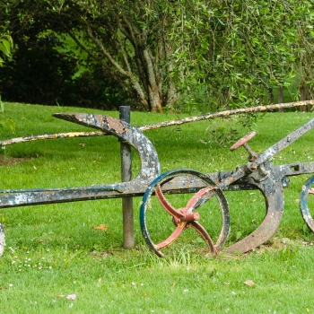 DSC03600