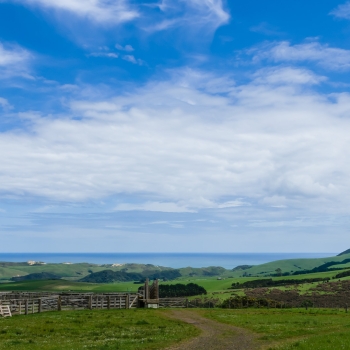 DSC03881 DSC03881