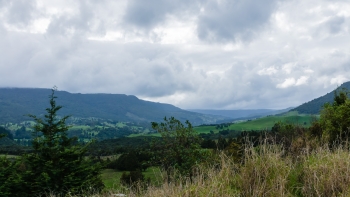 DSC03940