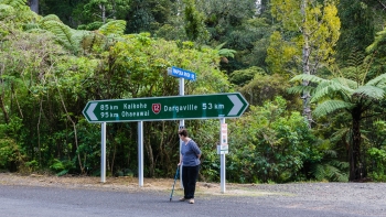 DSC03979