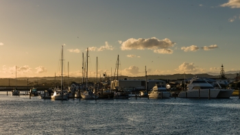 DSC04620