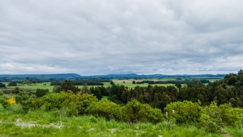 DSC04920