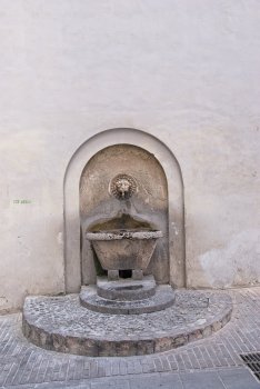 DSC07505