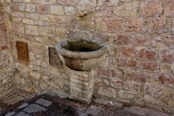 DSC08729-1