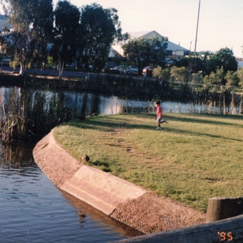 Scan2026-03-08_142959
