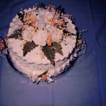 Scan2026-03-08_154404
