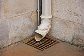 Dijon