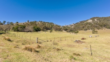 Tenterfield