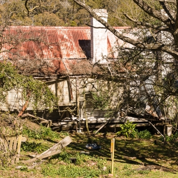 Tenterfield