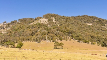 Tenterfield