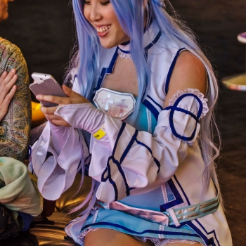 DSC03241