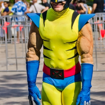 DSC03243 DSC03243