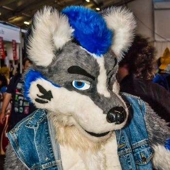 DSC03929