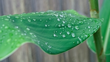 1_DSC06400