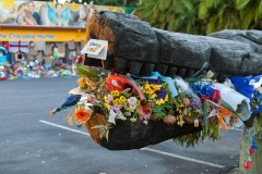 Vale Steve Irwin