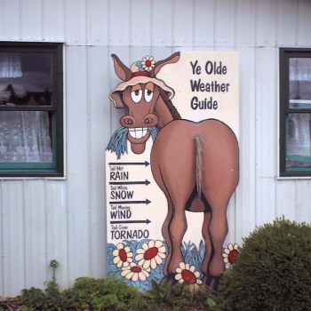 Berry Farm, ON, Canada