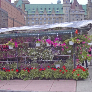 Byward Markets, Ottawa, ON, Canada