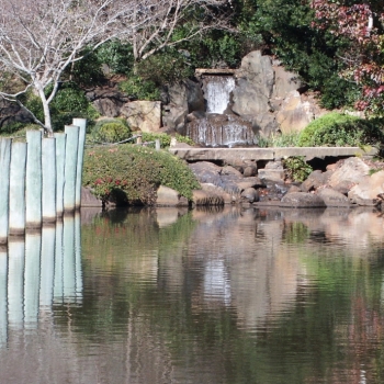 Japanese Gardens, Toowoomba