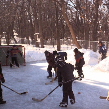 backyardhockey