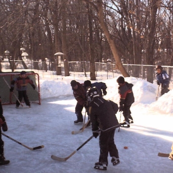 backyardhockey