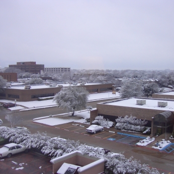 dallassnow02