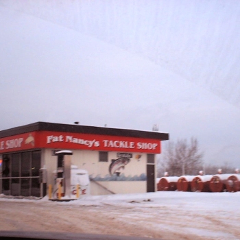 fatnancysny