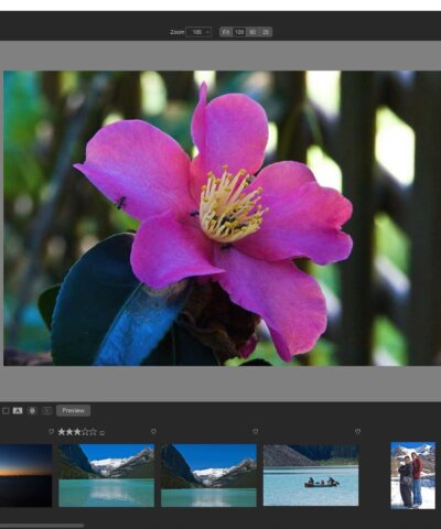 A brief history of RAW editors
