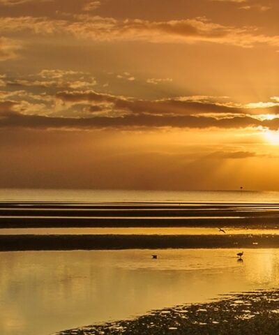 White Balance and Color Correction