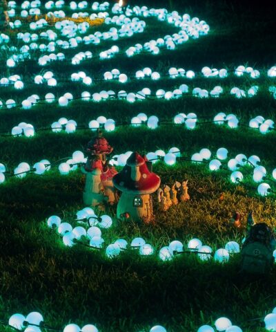 Enchanted Garden 2024