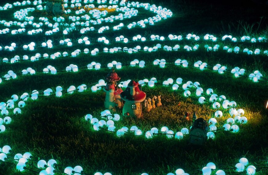 Enchanted Garden 2024