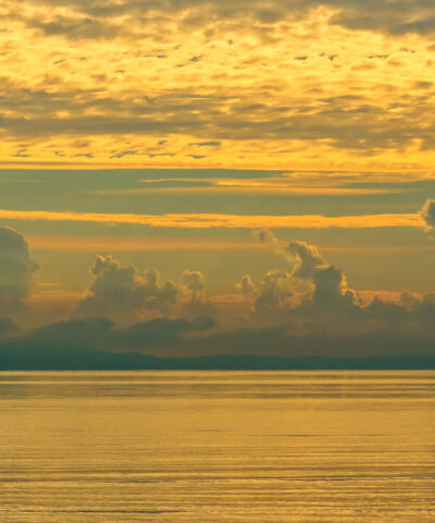 Its all about the light